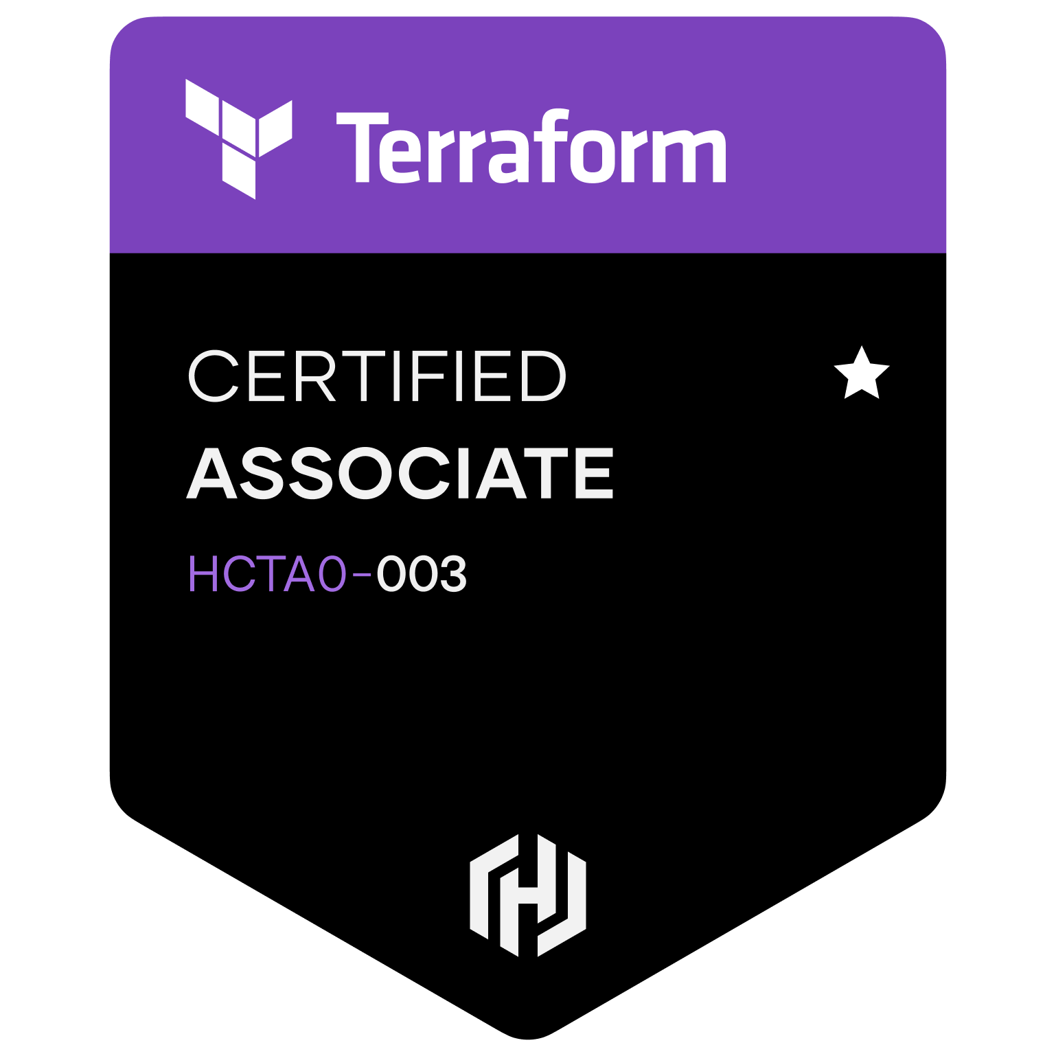 AWS Certified Solutions Architect - Associate Badge